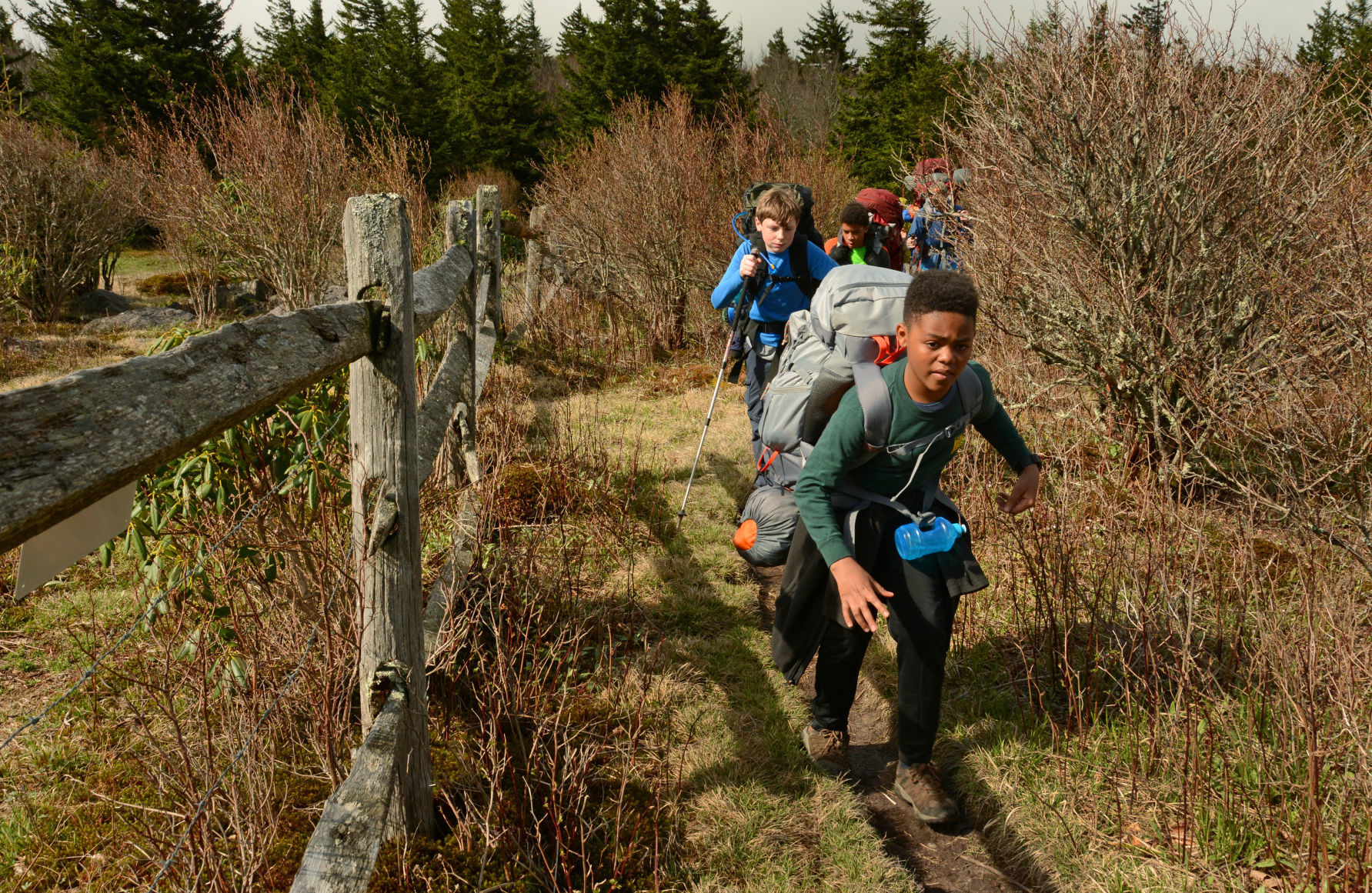 Mount Rogers National Recreation Area